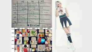 효민, 다이어트 식단표 공개… 레몬 디톡스+크로스핏 운동 “혹독”