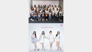 에뛰드하우스, 일반인 핑크스타 모델 선발