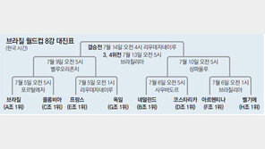 [World Cup Brasil 2014]브라질 월드컵 8강 대진표