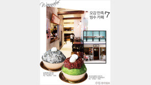 [우먼 동아일보] 오감 만족 빙수 카페 7