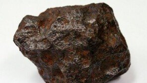 ‘청주 운석 발견’ 40년 전 주운 돌덩이가…‘화들짝’