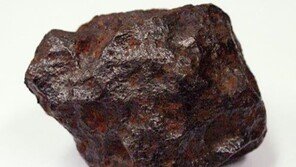 청주 운석 발견,  니켈 함량이 다소 낮은 철운석으로 판명