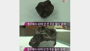 “한반도 첫 발견운석은 1970년대 청주운석”…가격에 더‘깜짝’