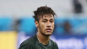 [2014 브라질 월드컵] “모든 것이 브라주카 때문이야”