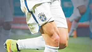 [World Cup Brasil 2014]이 잇몸들, 결승행 몸통