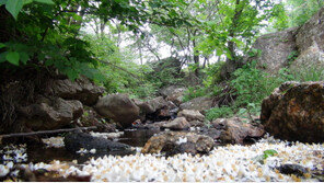 자연 휴양 리조트, 여름 휴가의 품격을 높인다