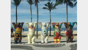 월드컵 브라질에 가졌던 이런 오해 저런 오해, 진실을 보니…