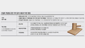 조사委 수사권 놓고 팽팽… 세월만 보낸 세월호 특별법