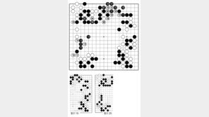 [바둑]제35회 세계아마바둑선수권대회… 상용의 수단 113-115