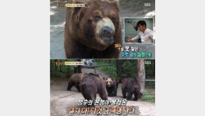 동물농장 내레이션 김상중, 해당 곰들이 진술 거부?…“그런데 말입니다...”