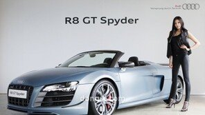 손흥민 아우디 R8, 550마력에 2억이 훌쩍 넘어