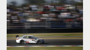 시트로엥, WTCC 아르헨티나 대회 1, 2라운드 석권