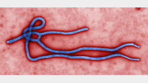 “미국부터 챙겨라” 美, 에볼라 감염에 해외선교 비판 확산