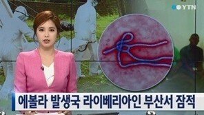 라이베리아 출신 男, 입국 후 부산서 잠적…에볼라 바이러스 공포 확산