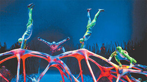 [DBR/전략적 사고]쇠퇴하던 서커스산업에서 ‘태양의 서커스’는 어떻게 성공했나