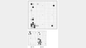 [바둑]제58기 국수전… 다윗과 골리앗의 대결