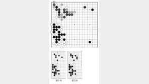 [바둑]제58기 국수전… 백의 호조