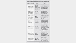 “쟤 잡히면 우린 망한다”… 그 금고지기 김혜경 美서 체포