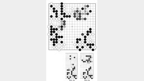 [바둑]제58기 국수전… 빈삼각의 묘수 138