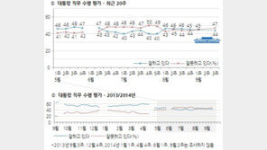 ‘서민증세’ 후폭풍? 대통령 직무수행 부정평가, 긍정 추월