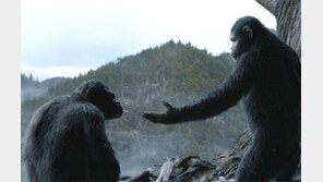 침팬지의 폭력성 원인, 살기 위한 본능일 뿐…‘자연파괴와 무관’