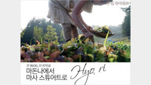 [우먼 동아일보] IT BLOG, IT STYLE~ 마돈나에서 마사 스튜어트로, 효리(Hyo ri)