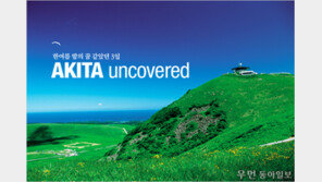 [우먼 동아일보] 한여름 밤의 꿈 같았던 3일~ AKITA uncovered