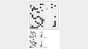 [바둑]제58기 국수전… 요처 89