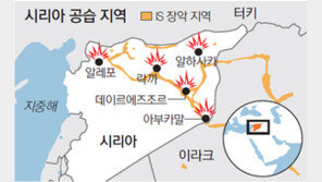 美, 시리아 IS 거점 공습… 新중동전으로 확전 조짐