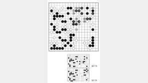 [바둑]제58기 국수전… 묘착 93