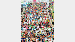 공주마라톤 9000여명 가을을 달렸다