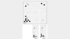 [바둑]제58기 국수전 연구한 수 15