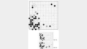 [바둑]제58기 국수전… 적시의 응수타진 63