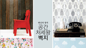 [우먼 동아일보] 변신의 정석! 공간 처세왕 벽지