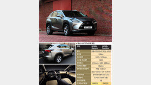 렉서스 ‘NX300h’…4WD·가솔린 SUV 실 연비가 ‘19.2km/l’ 라고?