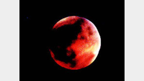 밤하늘에 붉은 달 ‘둥실’…개기월식 장관에 시민들 ‘감탄’