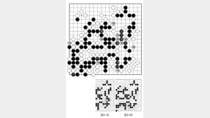 [바둑]제58기 국수전… 느슨한 수 179