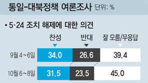 국민 10명중 8명 “남북정상회담 해야”