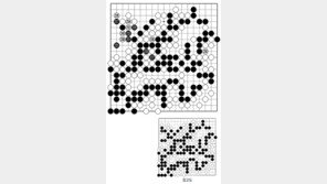 [바둑]제58기 국수전… 승부수 227, 229