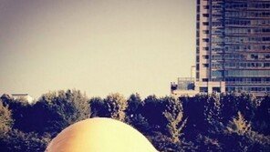 석촌호수 러버덕, 물위에 철푸덕…안쓰러운 모습 어쩌다가? 