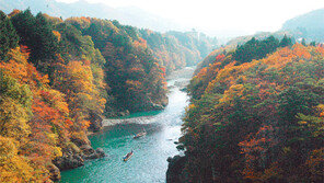 일본으로 떠나는 ‘단풍+온천’ 여행… 남녀노소 누구와도 즐겁다