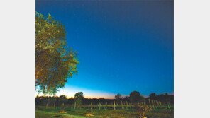 [여행, 나를 찾아서]롯데관광, 헌터밸리! 상상 그 이상의 호주를 만나다