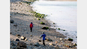 [광주/전남]여수 밤바다 보며 갯가길 걸어요