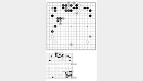 [바둑]제58기 국수전… 실착 35