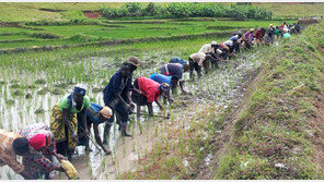 빈곤-비극의 땅 깨운 ‘잘살아 보세’
