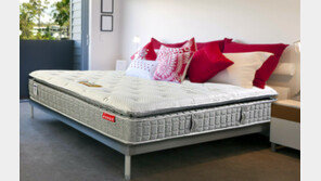 [스마트 컨슈머]던롭필로, 세계적인 프리미엄 침대의 세계를 경험하세요