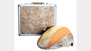 [스마트 컨슈머/헬스&창업]식약처가 허가한 탈모치료 레이저조사기