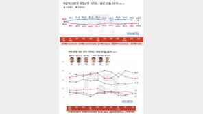 朴대통령 국정수행 지지율 3주연속 하락…1개월만에 40%대