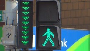 횡단보도 녹색불 시간 기존 30초에서 7.5초 연장…대기시간도 증가