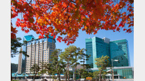 하이원 리조트, 단체행사 및 고객유치 팸투어